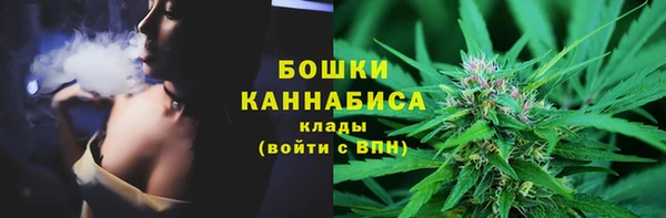 mdpv Богородицк