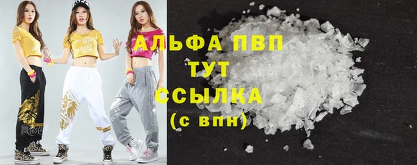 тгк Верея