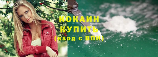 тгк Верея