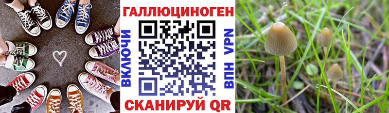 Галлюциногенные грибы Magic Shrooms  купить  цена  Гаврилов Посад 